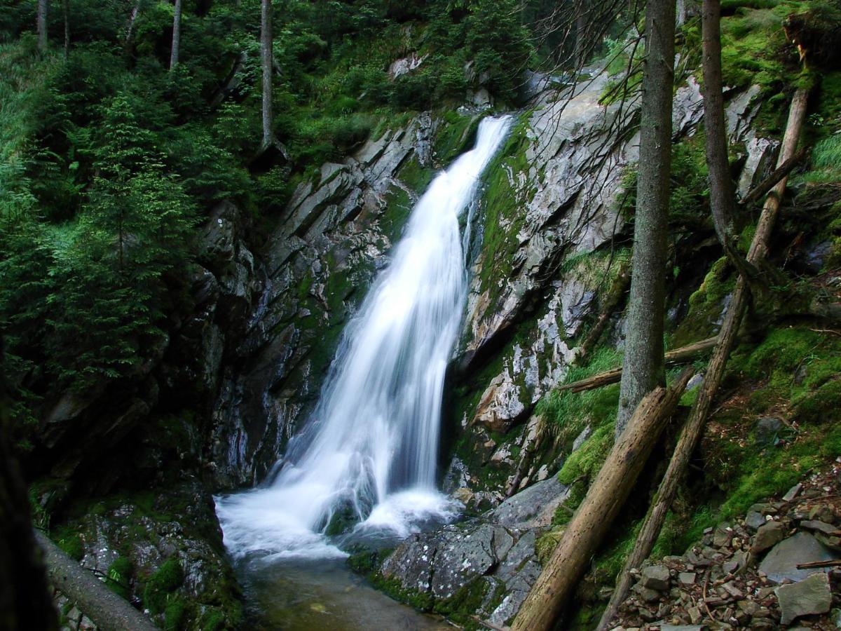 Penzion Alfa Železná Ruda Exterior foto