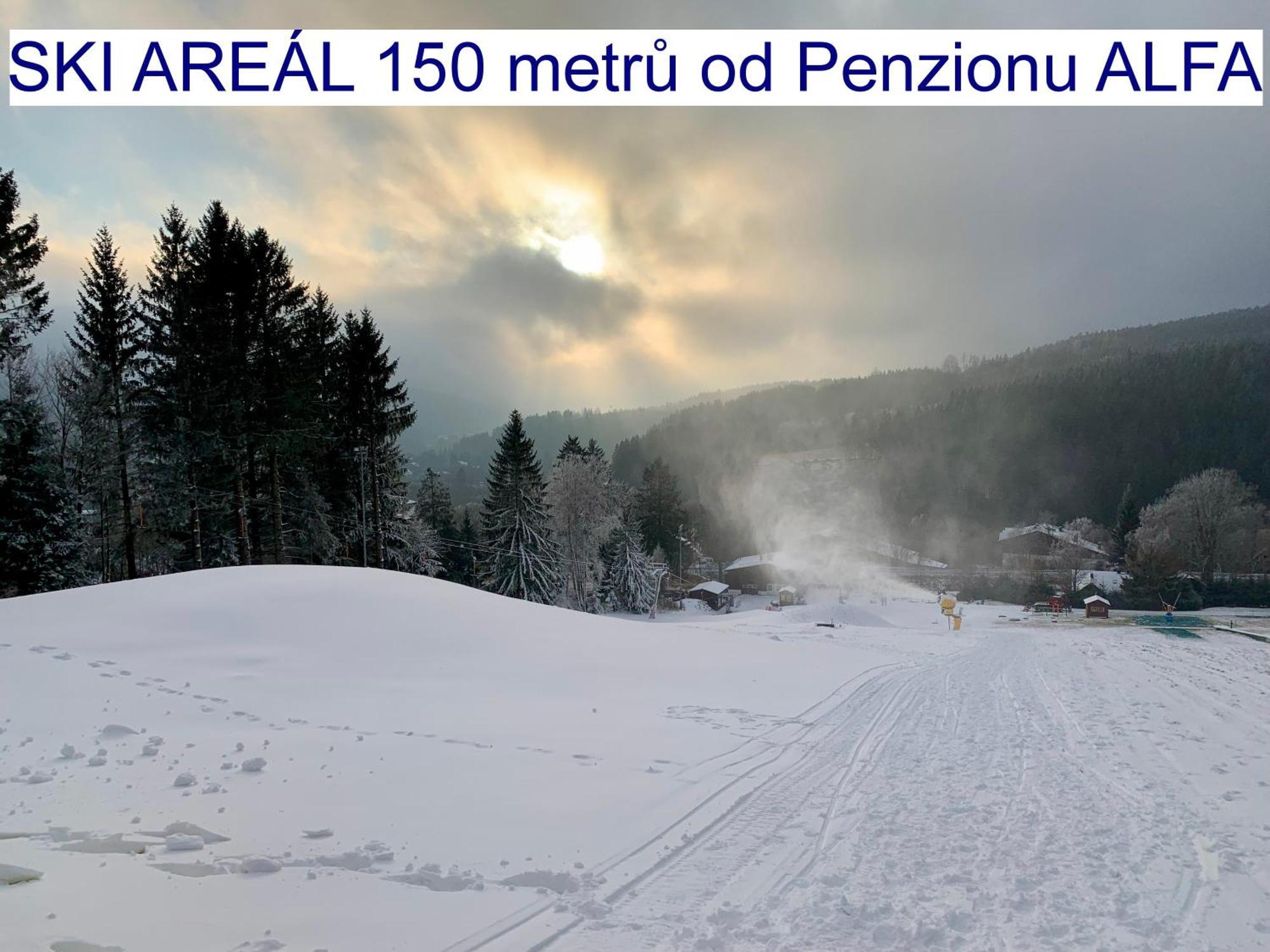 Penzion Alfa Železná Ruda Exterior foto